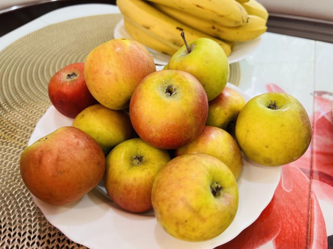 �������� �������: ���� � ���������� � �������� ������������