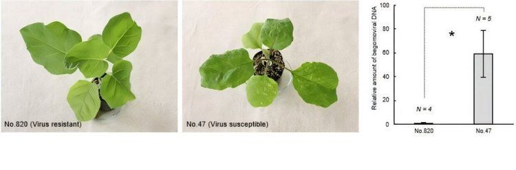 ����� ���� � ������������ �������������� � ������� ������� ��������