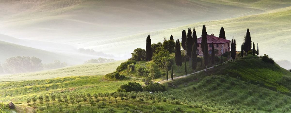 Как гравитационные методы меняют виноделие