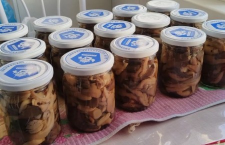 ��� ��������� ���������� ����� � ���������: ������� ������