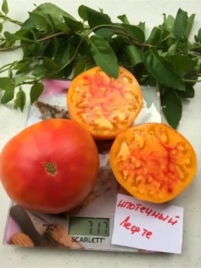 ����� ��������� ��������� ������: ������������� ���� � �������������� �������