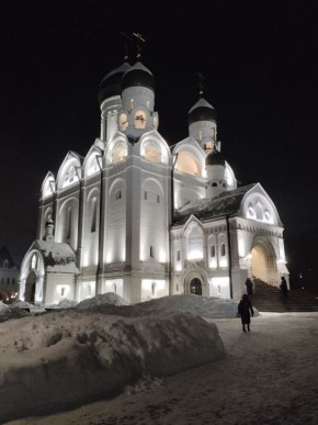 Что такое Сыропуст