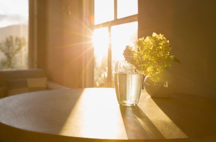 Как сохранить яркость окрашенных стен: советы по уходу