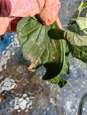 ������� �������: ������� ������ � ������������