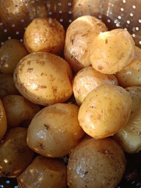 Картошка в новом свете: как обычный овощ стал другом для кишечника