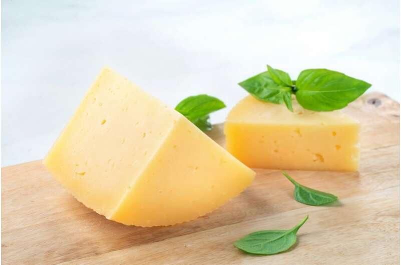 ����� �������� ������ � �����: ������ ������� ��������� ��������