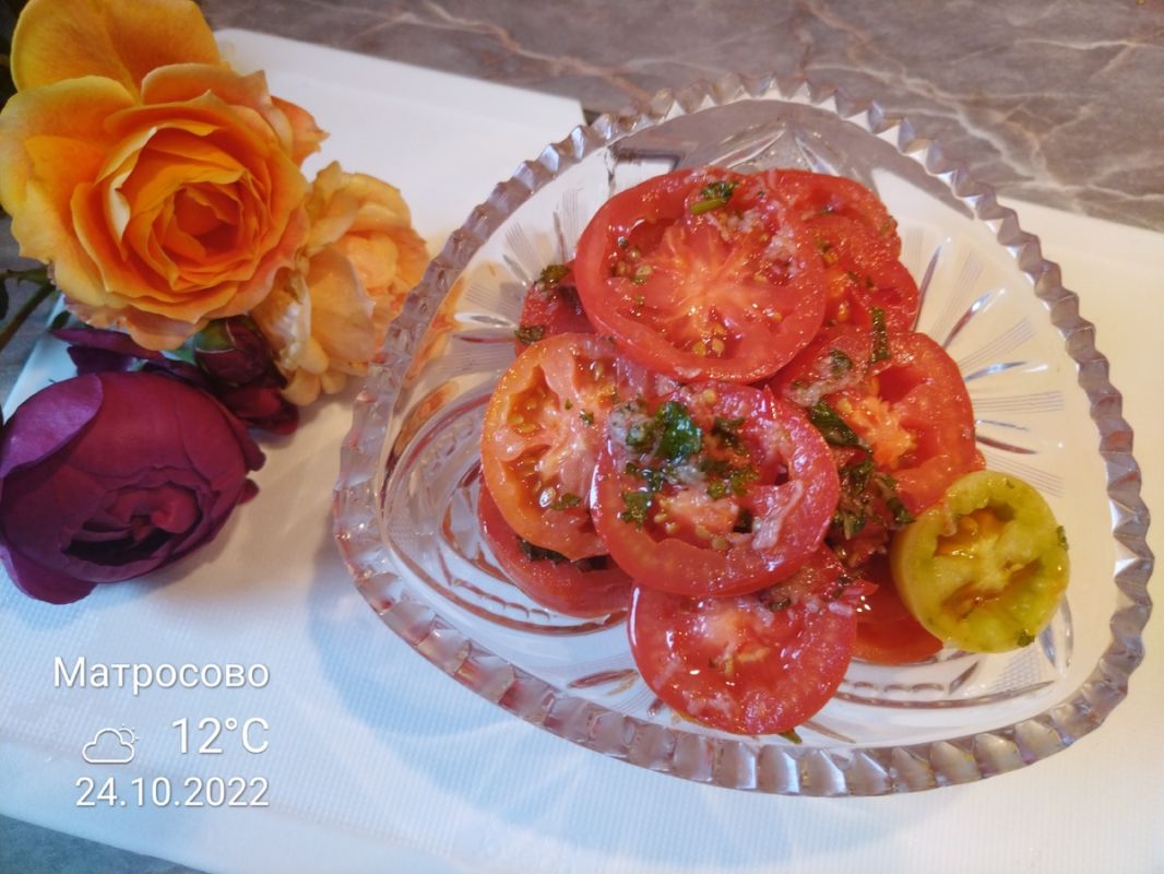 ������������ ����: ������� �������� � �������� �� ��������� ������ ������