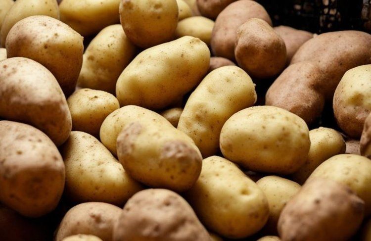 ��� ���������� ����������� �� ���� ������������� ����������������