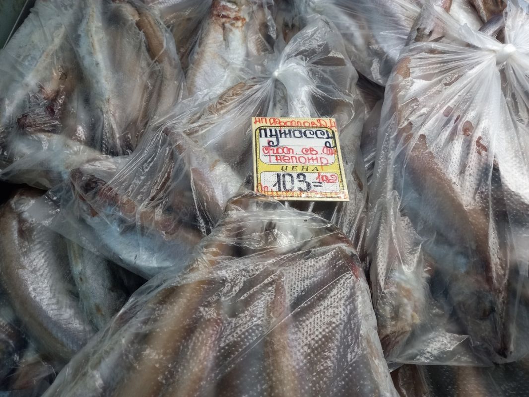 ��� ���������� ���� �� ����: �� ������� �� ��������