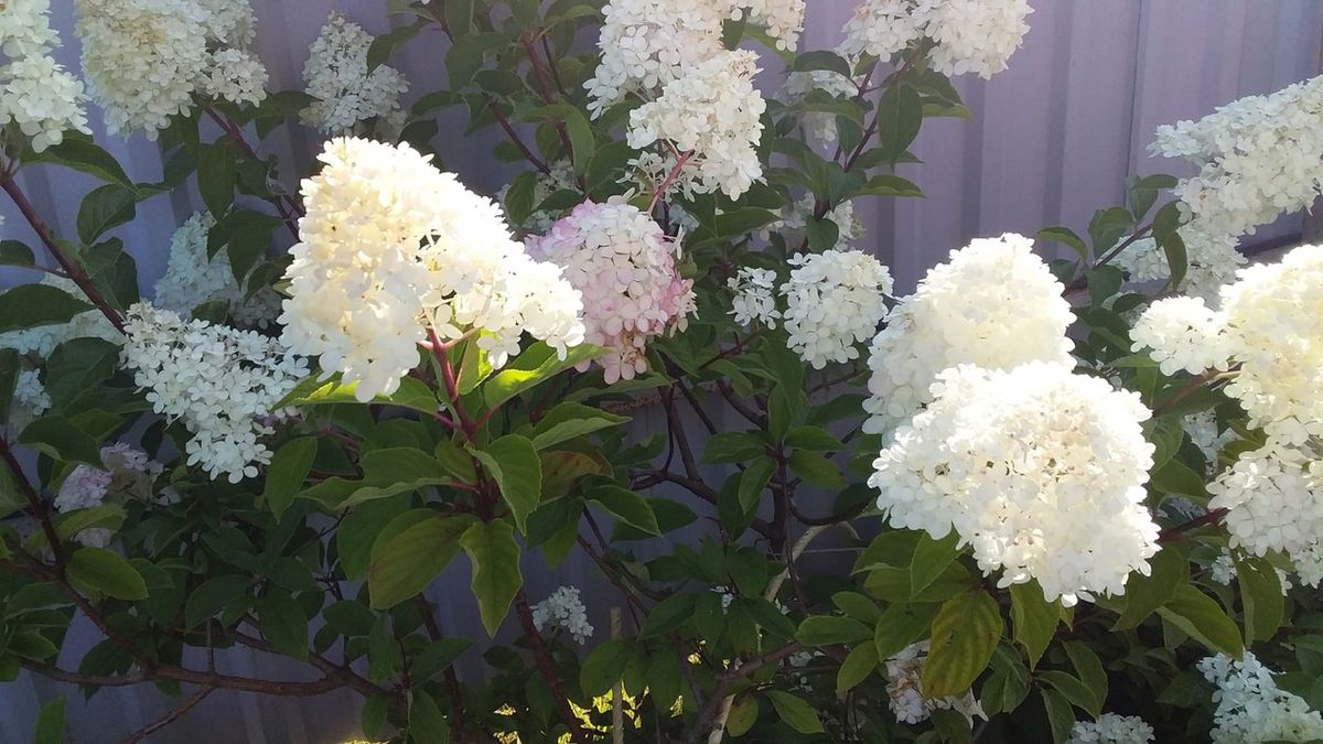 ���������: ��� ���������� ���������� ���� ��������� � �����