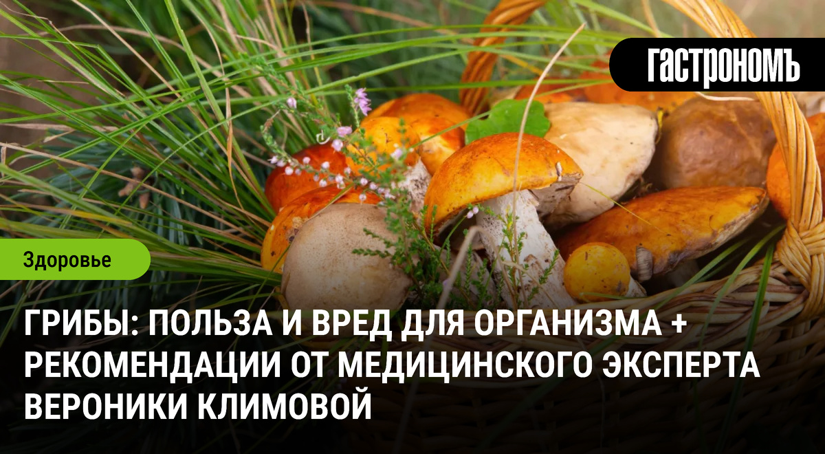 Как безопасно наслаждаться грибами: советы для любителей и скептиков