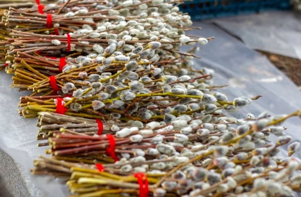 ������� �������� �������� �����������: ��� � ������� ����� �����