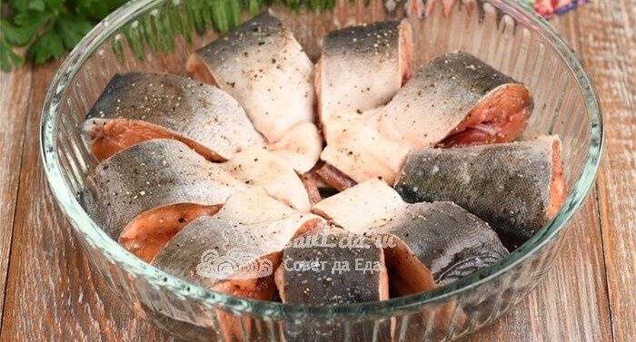 ������������ ������ ����� ��� ��������������� ���������