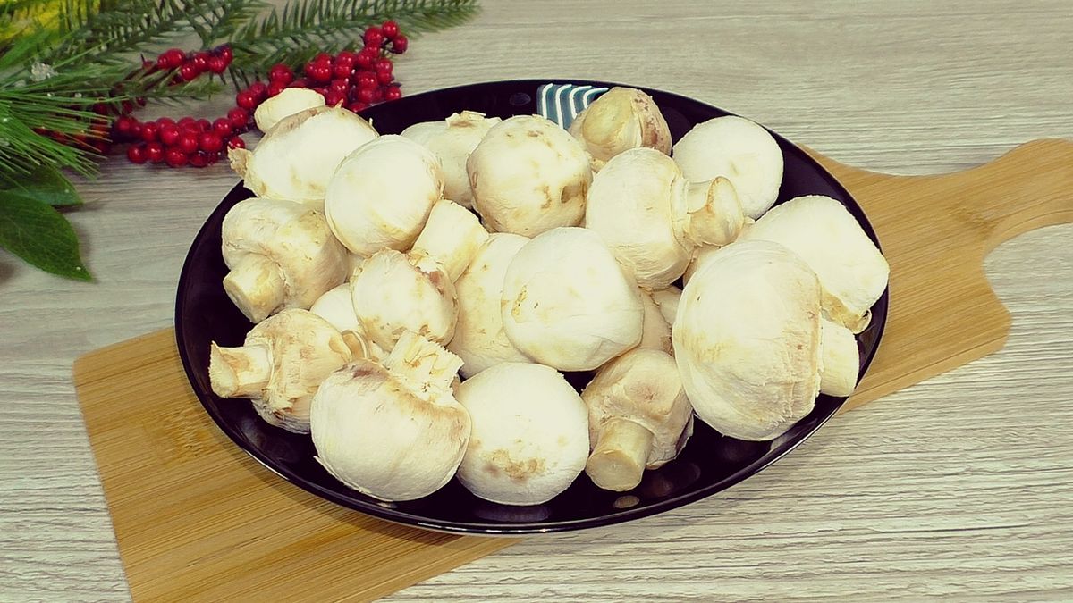 ������ ����������: ������� ������ ��������� � �������