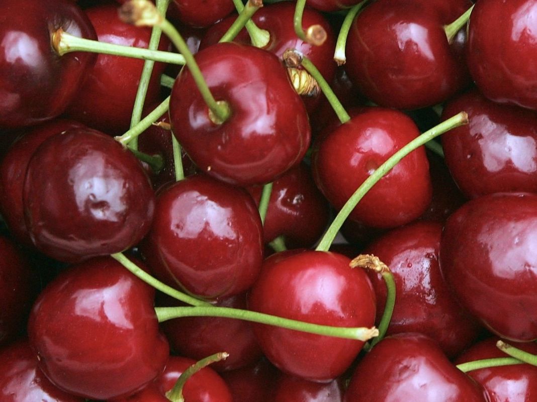 �����: ���������� � ������������ ��� ������������