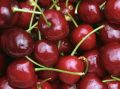 Вишня: полезность и осторожность при употреблении