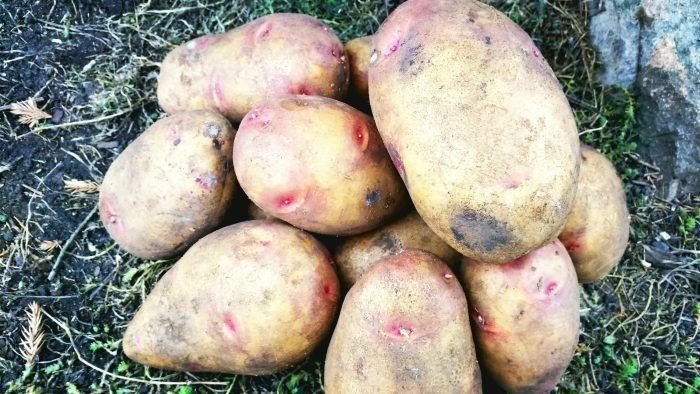 ��������� ���������: ��������� ����� ��� ������������ �������