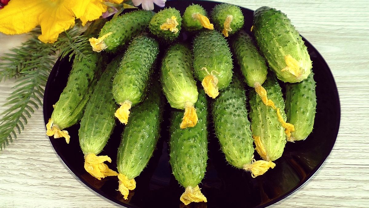 ��������� ������� �� Wildberries � ������ ������ ��������� �������