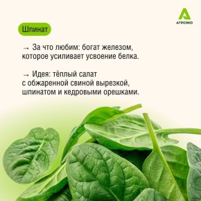 Простые идеи для сбалансированной тарелки со свининой от АГРОЭКО