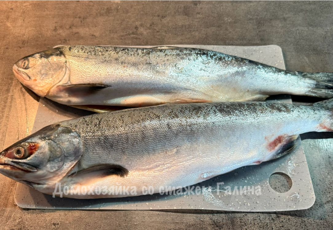 ��� ���������� ������� ���� ��� ������� ���� �� ������ ����