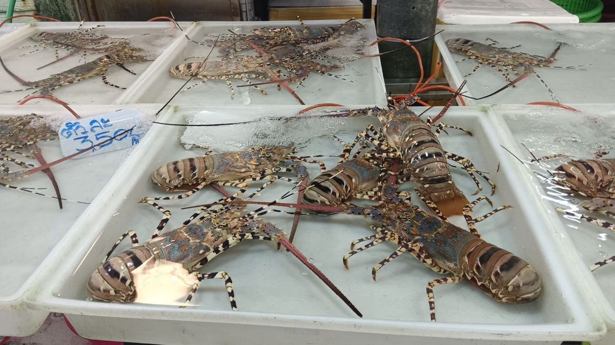 ������� ������������ � ���������� ��������� ������