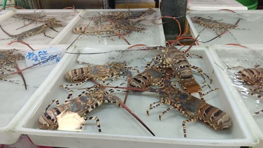 ������� ������������ � ���������� ��������� ������