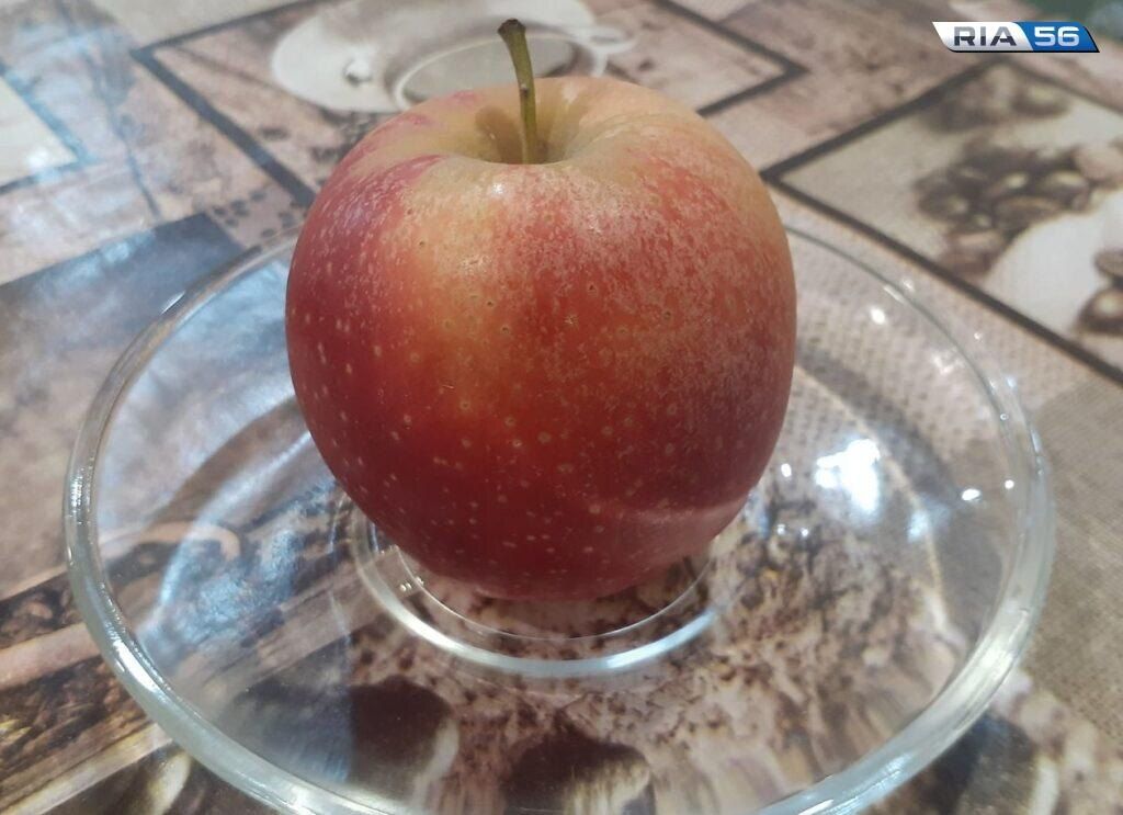 ��� �������� ������������� ������������ ���� � ������� ��� ��������