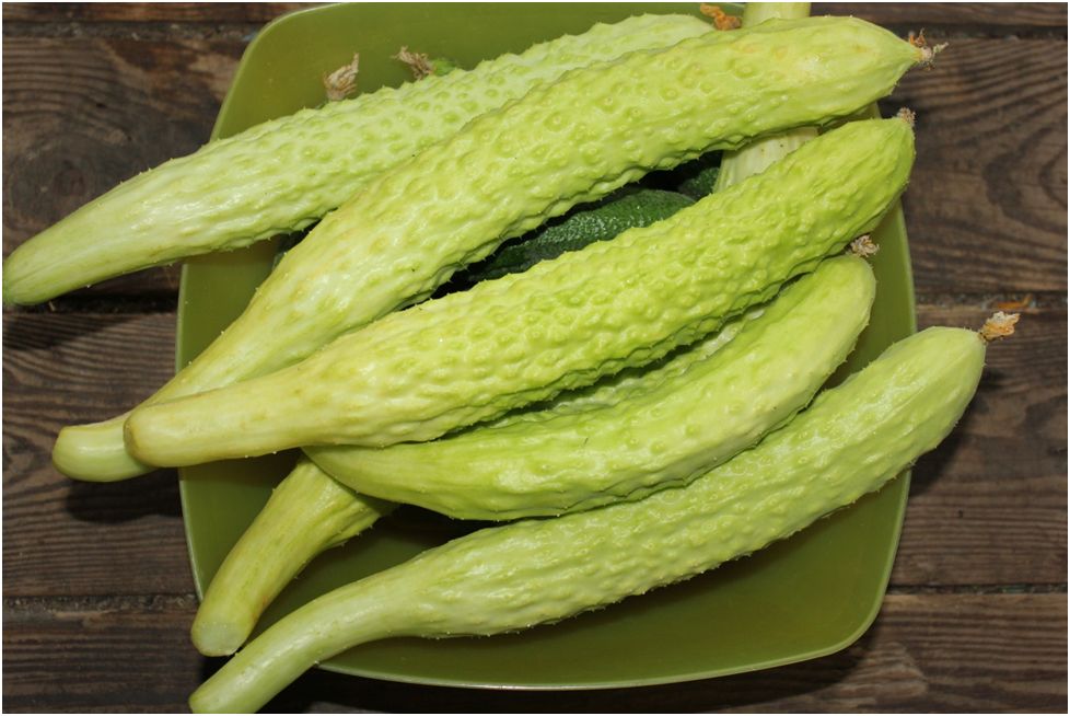 ������ ������ ����: ����� �� ��� ������ � ���� ����?