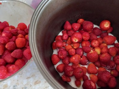 ����� ����: ������ ������ �� ��� � ������