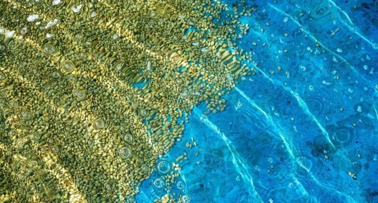 �������� ������: ��� ������ ��������������� �������� ����� ������