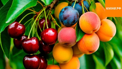 ����� ������� ��������� ���������: ������ 40 ������� �������� �������������