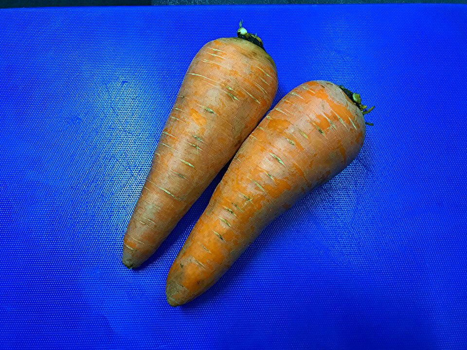 ������� ��� �������: ��� ������ � ������� ����