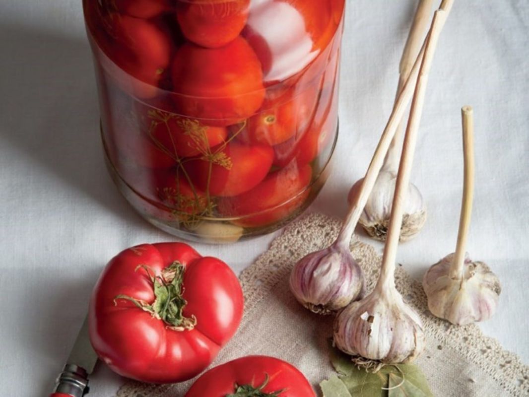 ������������ �������� � �������� ������