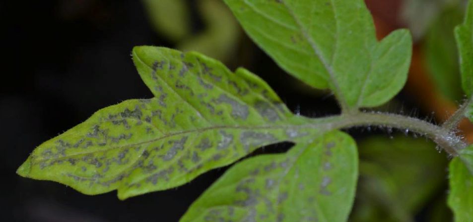 ����� ������ �������: ��� �������� ����� � ������� ����� ��������