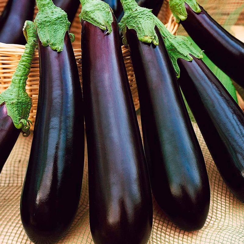 ������ ����� ����������, ������� ��������� �������� ������