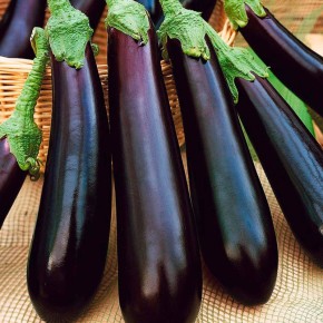 ������ ����� ����������, ������� ��������� �������� ������