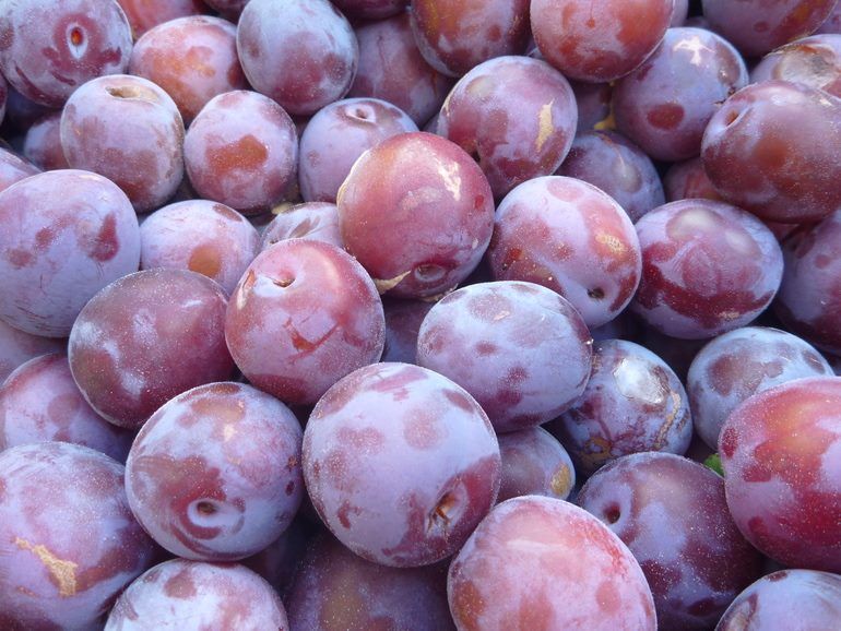 ������� �����������: ��� ���������� ����� �� ����