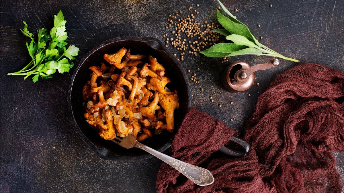 ����� � ����� �������: ���� � ����������