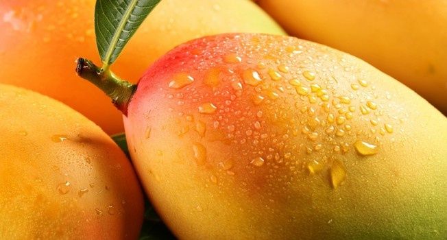 �����: ��� �������, ������� � �������� ����������� ������ � �������