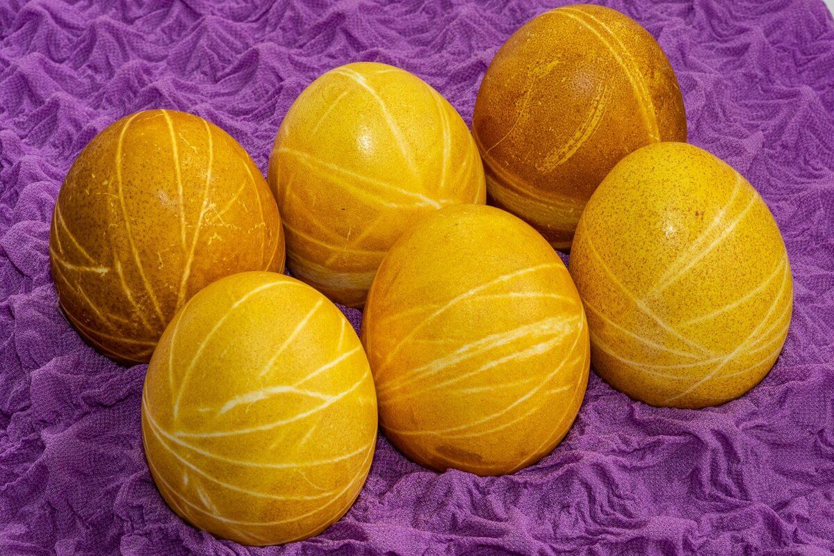 ����� ���� � ��������: ��� ������� ������������ ���������� �����