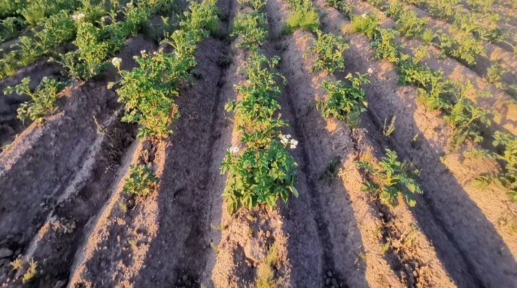 ����� ���������: ������� ��������� �������� �����