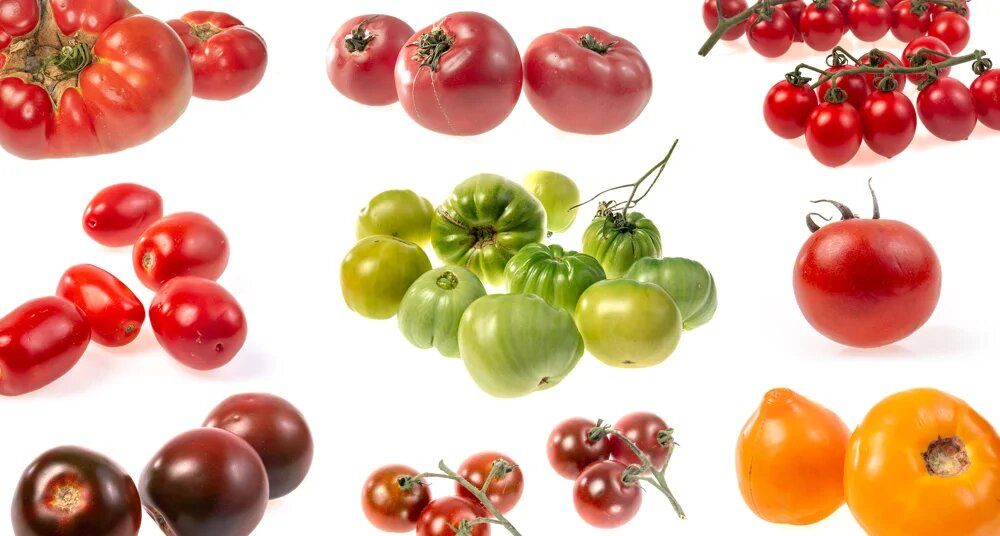 ��� ������� ��������� ��������: ������� �� ��������