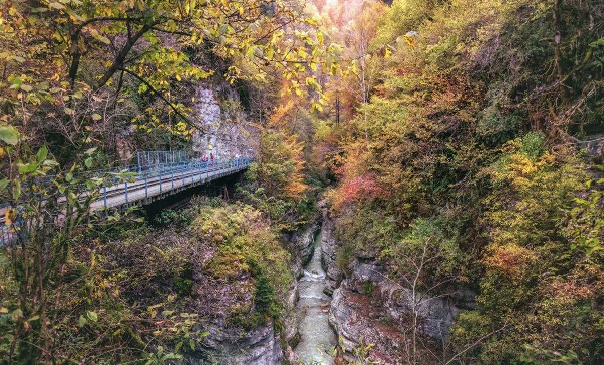 �������� ������: ����� ����������� � ��������� ������� �� ������