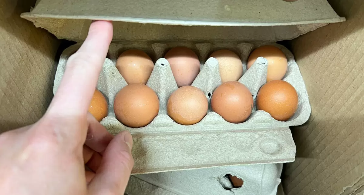 Ошибки хранения: как спасти вкус любимых продуктов