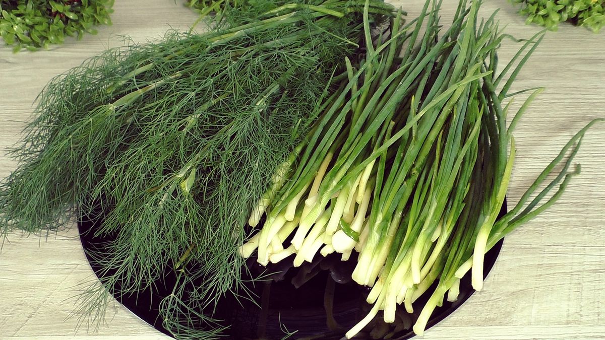 ��� ��������� ���������� ������ �� ����: ������� ������������