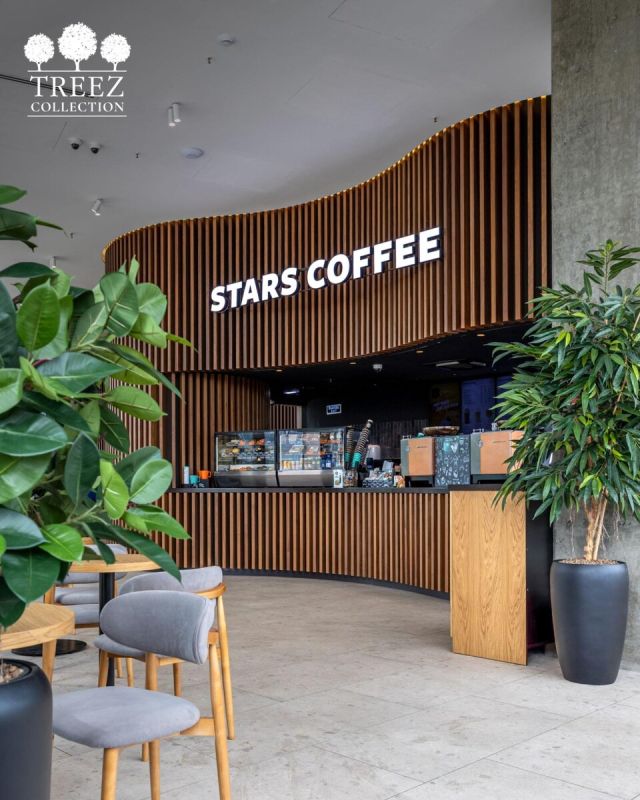 ������� ��������: ��� Stars Coffee �������� �������������� �����