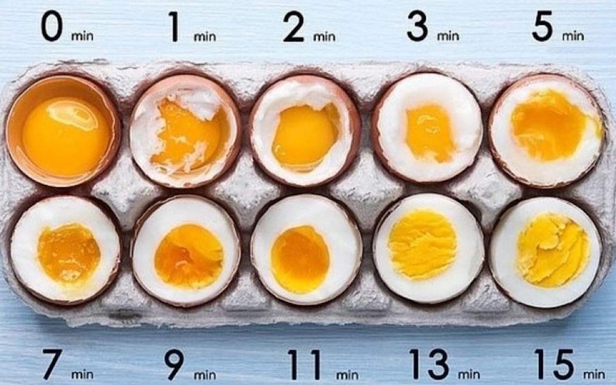 ������� ����� ���: ��� ������� ������ �� �����