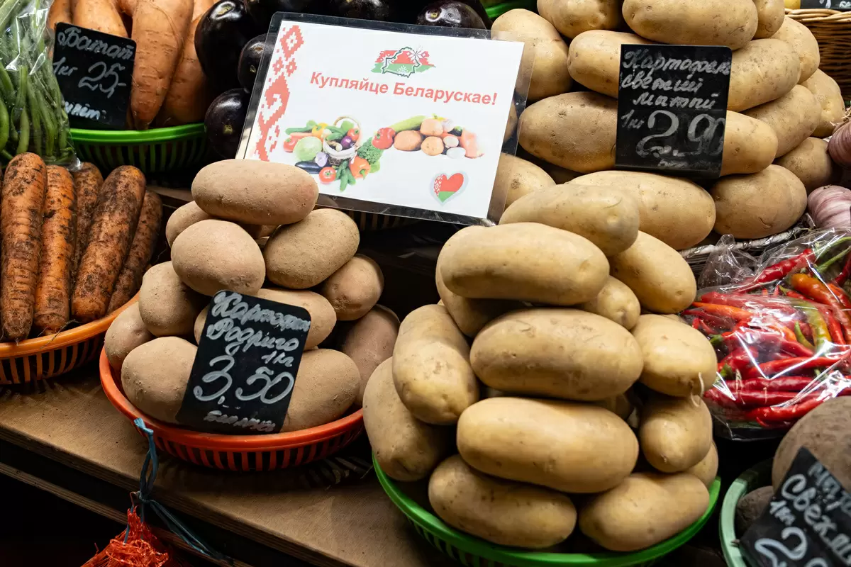 Картофельные перспективы: как белорусы встретят зиму