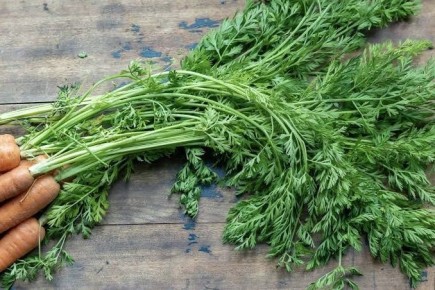 ������������� �������� �����