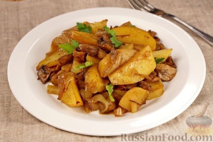 ����� ���������� �������: ��������� ������� ��� ����